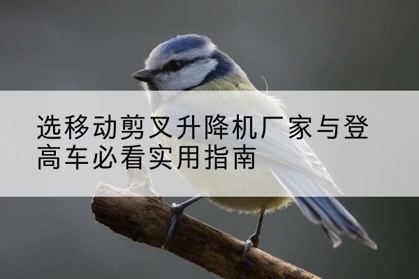 项城电动升降机厂家-选移动剪叉升降机厂家与登高车必看实用指南