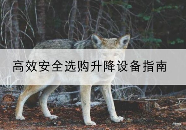 项城升降货梯厂家推荐-*安全选购升降设备指南