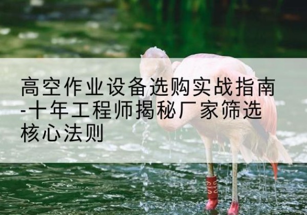 项城剪叉式升降机厂家-高空作业设备选购实战指南-十年工程师揭秘厂家筛选核心法则