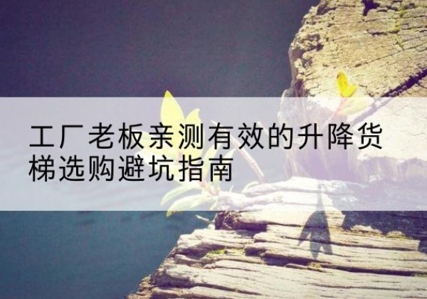 项城升降货梯怎么选-工厂老板亲测有效的升降货梯选购避坑指南